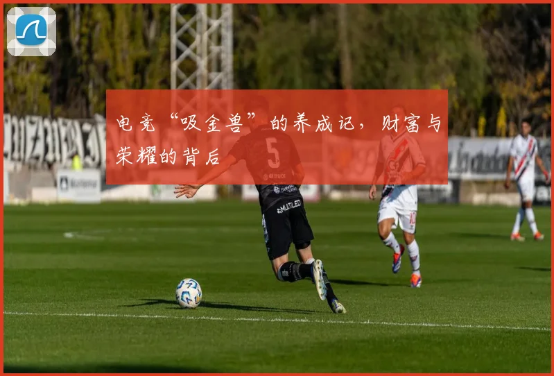 电竞“吸金兽”的养成记，财富与荣耀的背后
