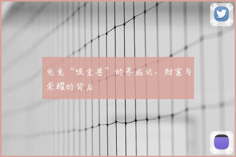 电竞“吸金兽”的养成记,财富与荣耀的背后